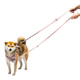 United Pets Durable Nylon Training Leash