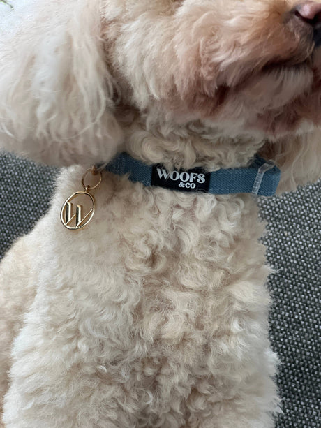 Collar with Charm - Denim