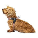 United Pets Fast Fit Harness