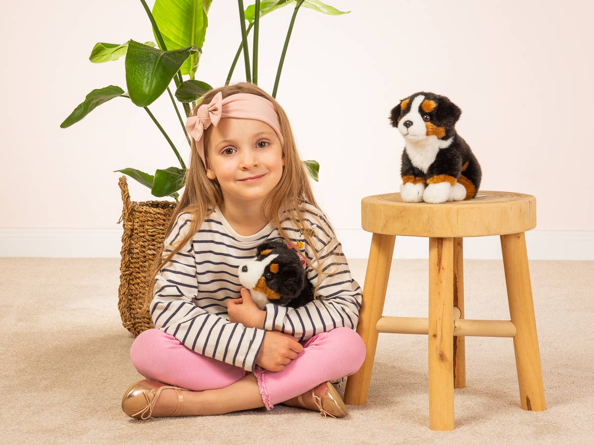 Teddy Hermann Bernese Mountain Dog 21cm