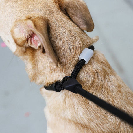 Hundog Gotham Slip-N-Lock Leash