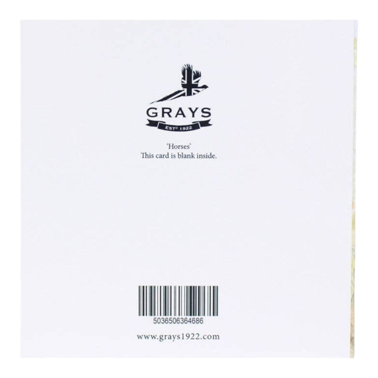 Grays 1922 Horses Blank Equestrian Horse Themed Card