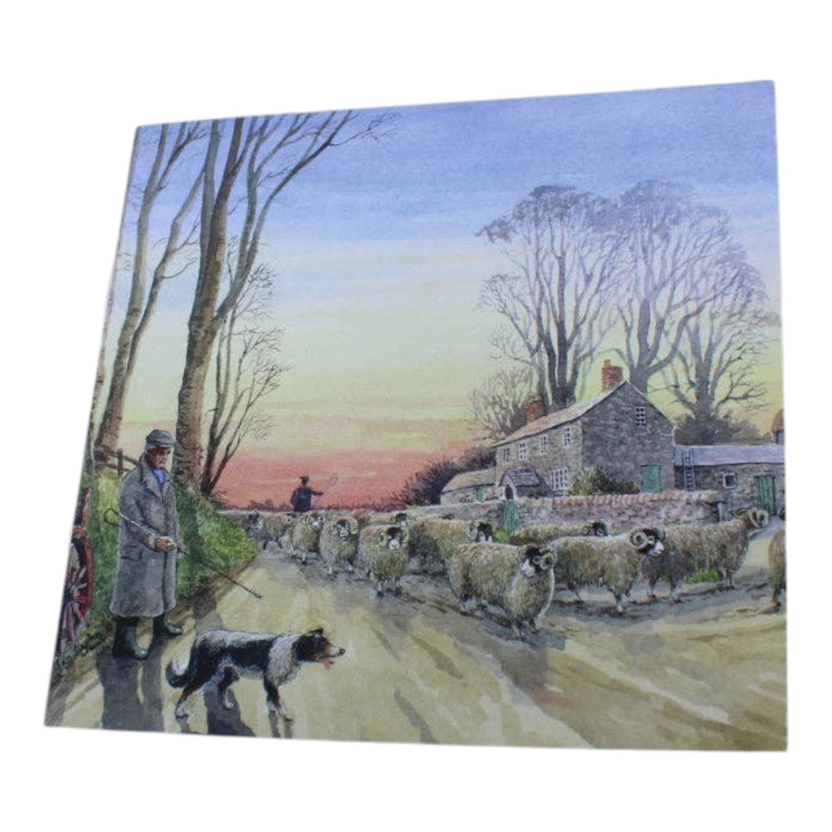 Grays 1922 Red Sky At Night Blank Vintage Theme Sheep Scene Card