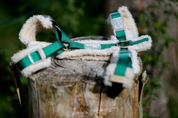 Harness Teddy Collection- Sage Green