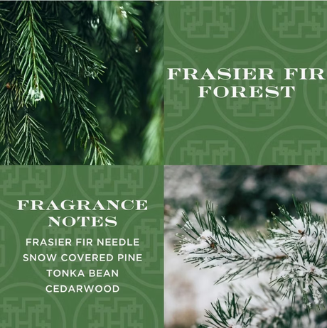 Homeworx Frasier Fir Forest 4 Wick Candle
