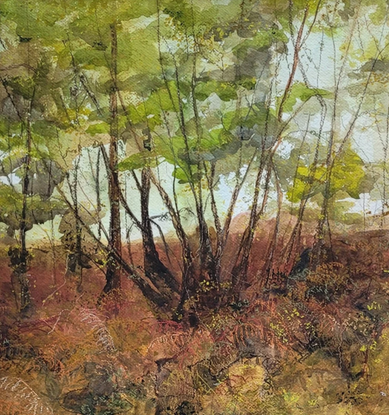 Alison McEvoy Copse Greeting Card