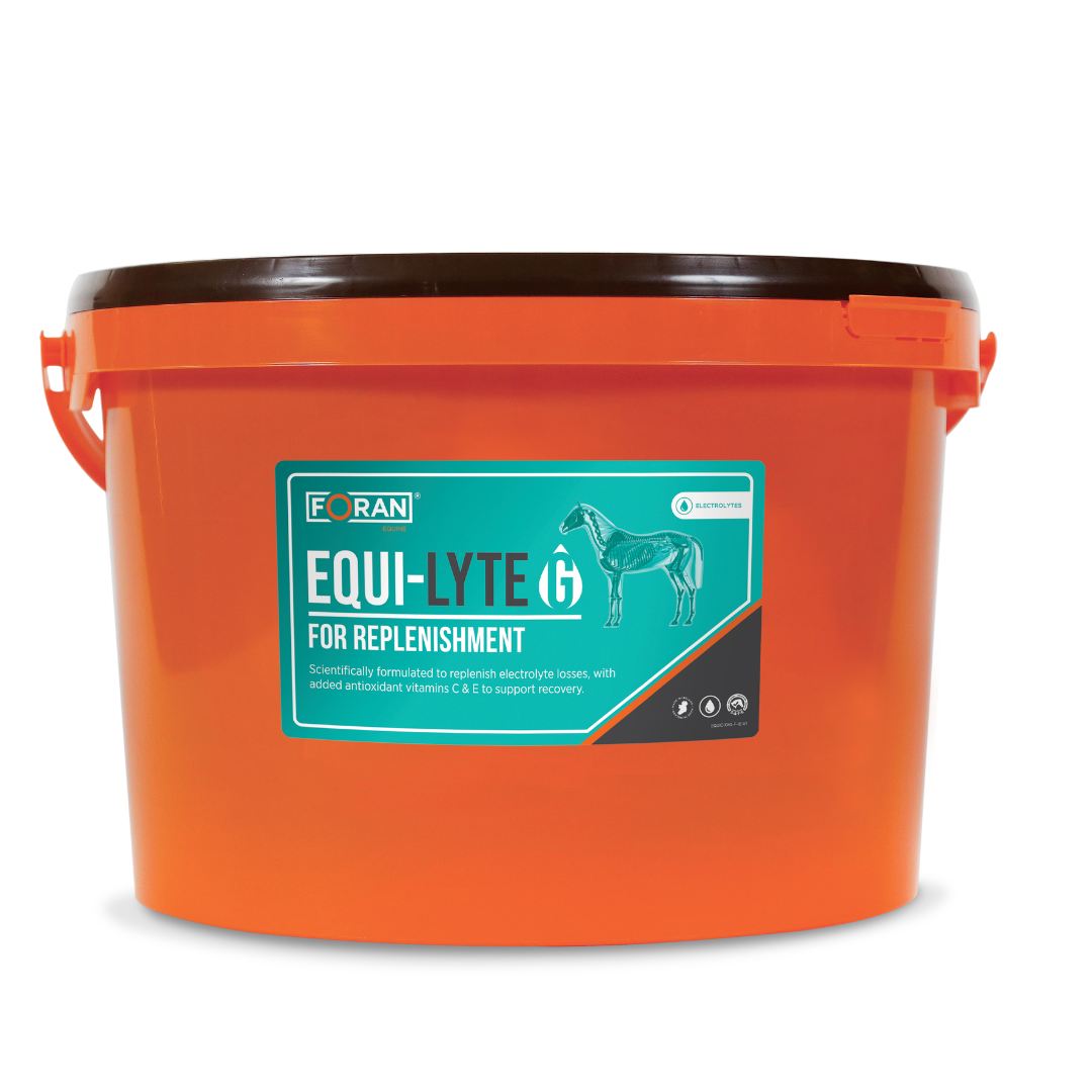 Forans EquiLyte G