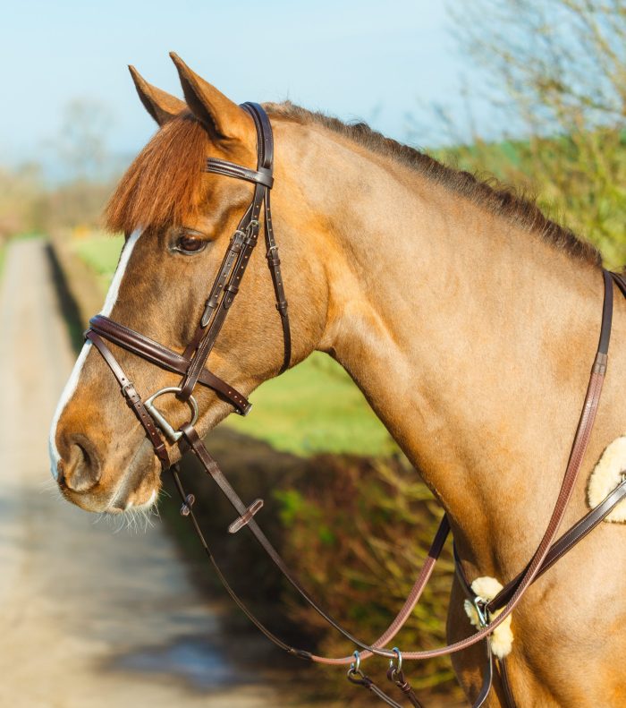 Mackey Classic  Padded Flash Bridle