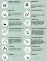 Shower Foam Tablet Refill Set