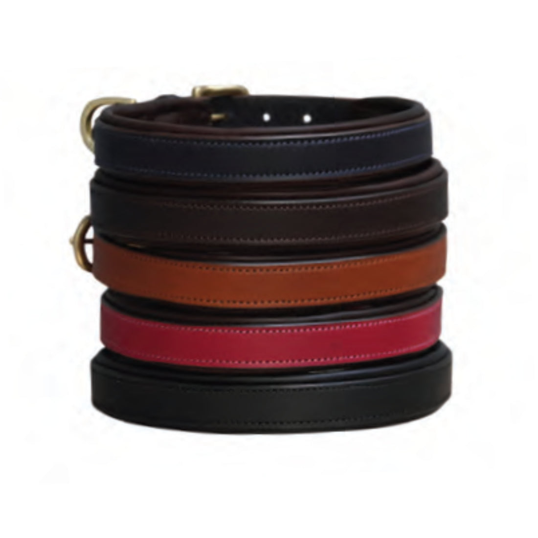 Mackey Padded Dog Collar & Leads