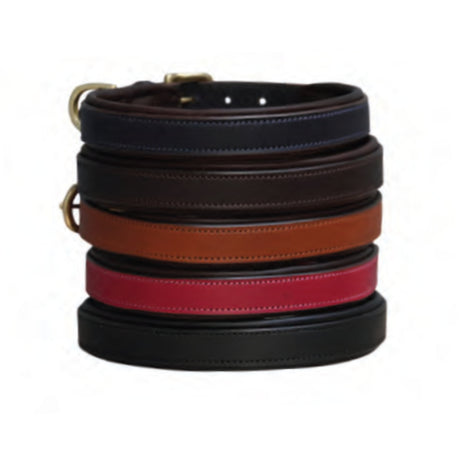 Mackey Padded Dog Collar & Leads