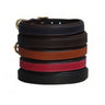 Mackey Padded Dog Collar & Leads