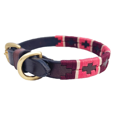 Polo Dog Collar