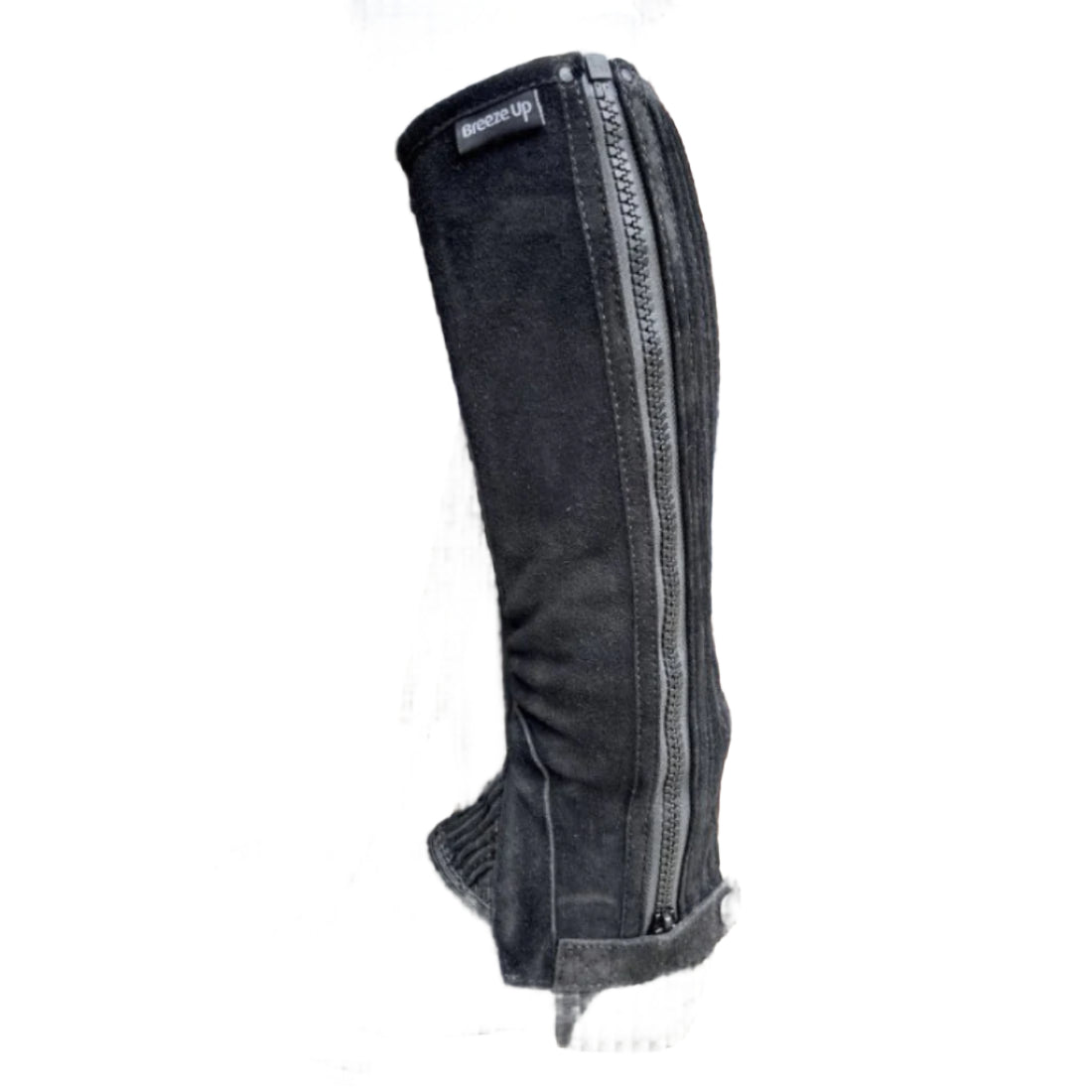 Celtic Equine Suede Chaps
