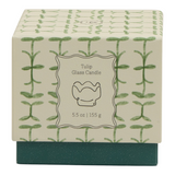 Connemara Country Paddywax tulip-inspired glass candle box with green botanical pattern and verbena lemongrass scent