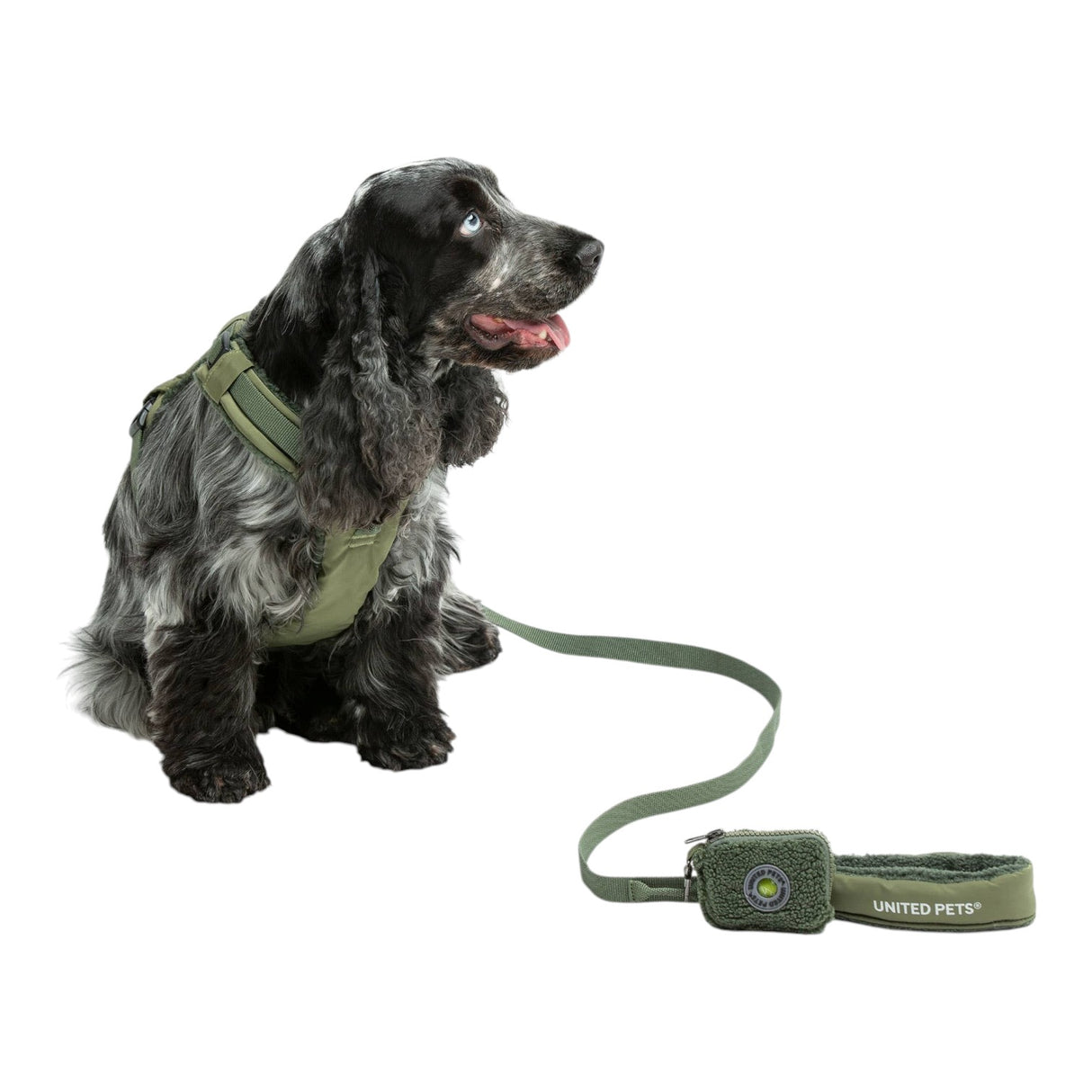 United Pets Soft Padded Dog Leash