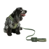 United Pets Soft Padded Dog Leash