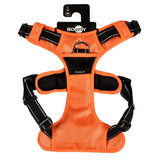 Dog Harness - Rando Walk Color - Bobby