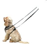 United Pets Gumi Multifunctional Training Leash