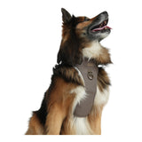 Staey Elma Active Dog Harness Sand