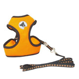 Croci Dog Leash and Harness - Hiking