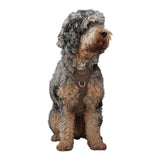 Staey Elma Active Dog Harness Sand