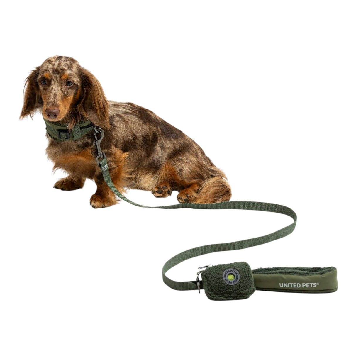 United Pets Soft Padded Dog Leash