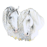 Grays 1922 Horses Blank Equestrian Horse Themed Card