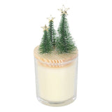 Something Different Cinnamon & Spice Christmas Candle
