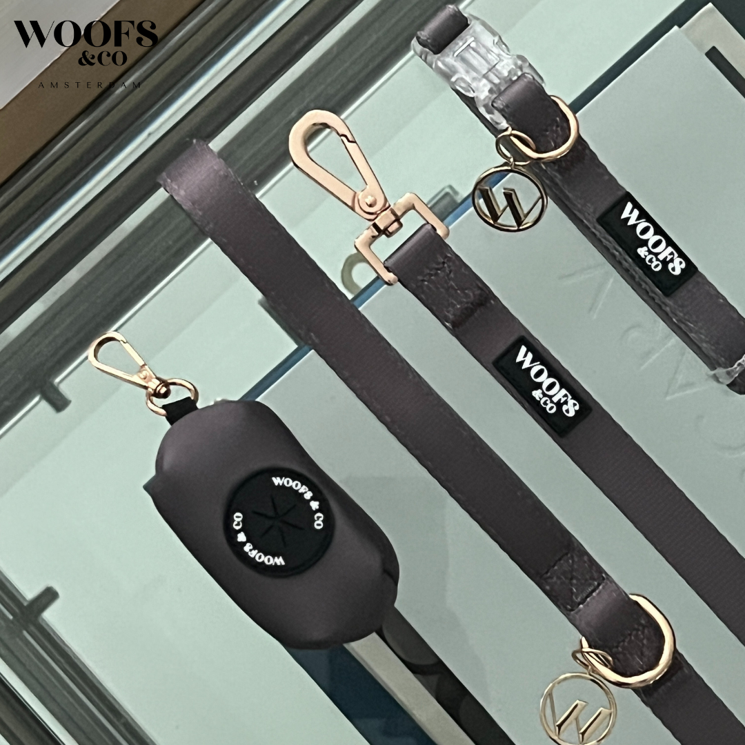 Collar with Charm - Ash