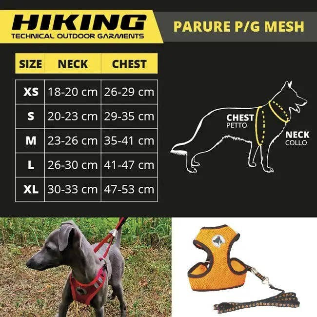 Croci Dog Leash and Harness - Hiking