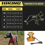 Croci Dog Leash and Harness - Hiking