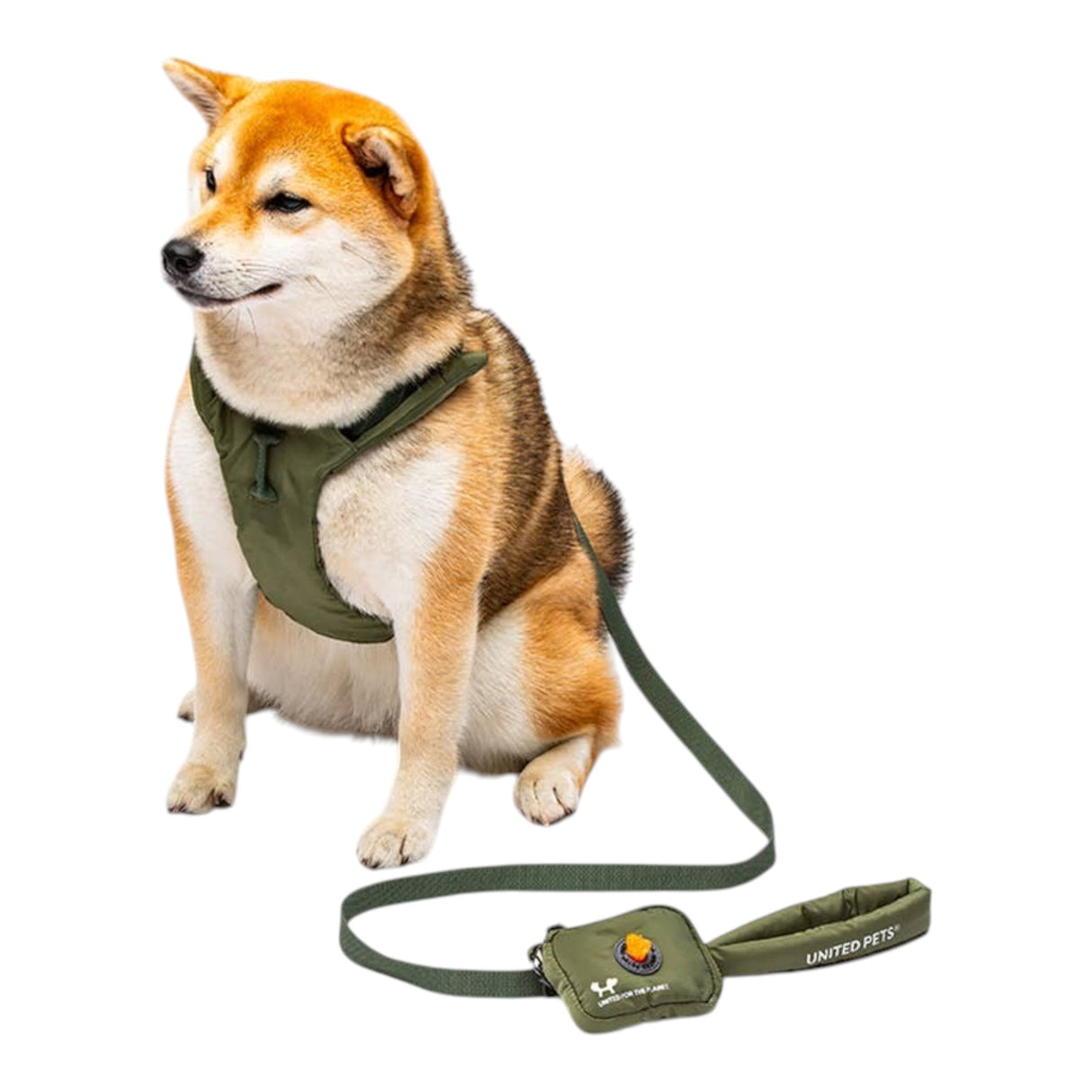 United Pets Padded Soft Leash
