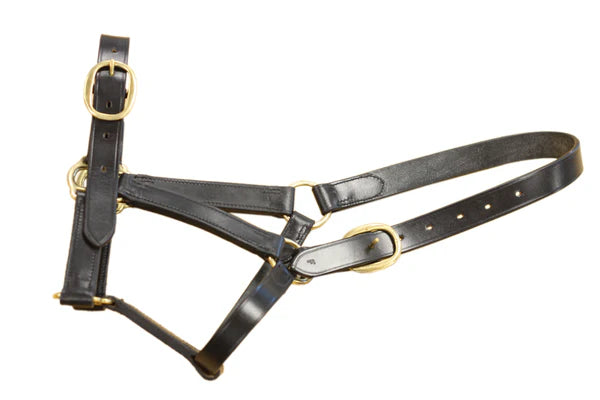 Mackey Leather Foal Head Collar
