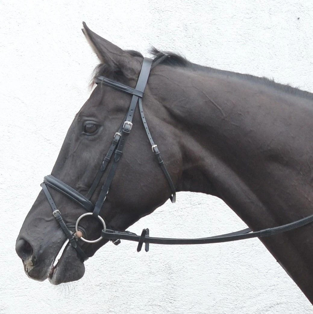 Mackey Classic Flash Bridle