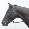 Mackey Classic Flash Bridle