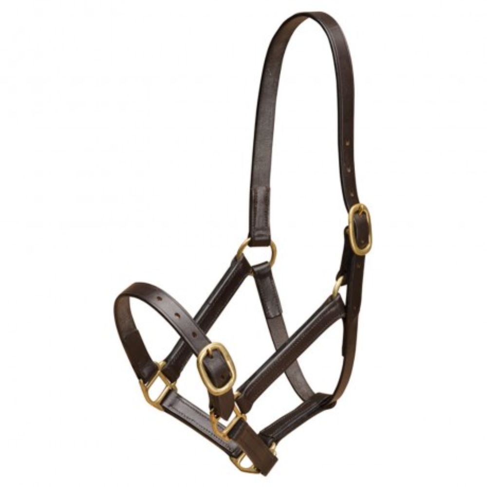 Mackey Leather Headcollar