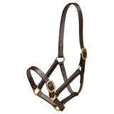 Mackey Leather Headcollar