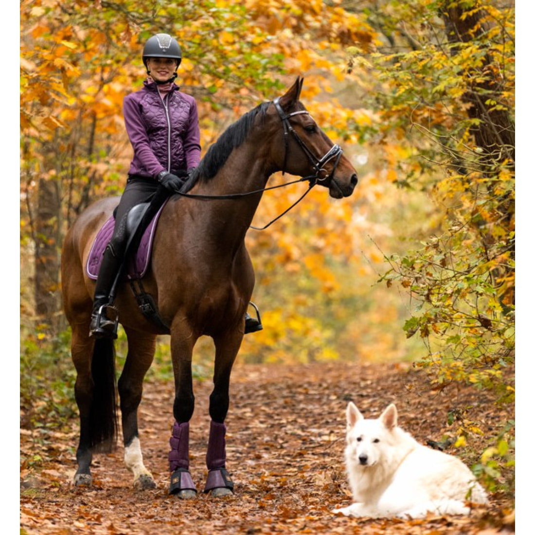 BR Barbara Ladies Jacket