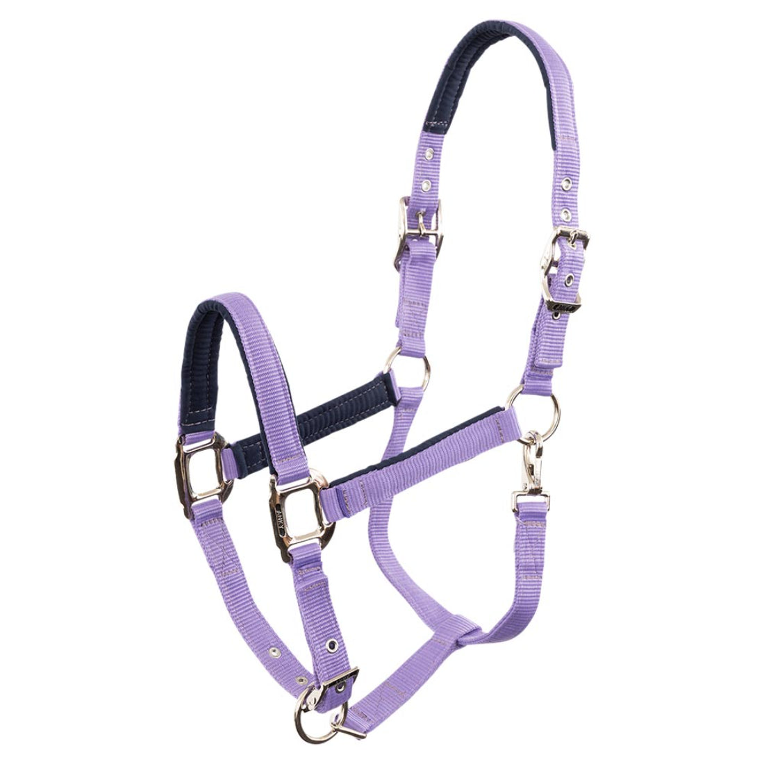 Anky Halter