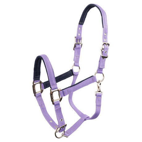 Anky Halter