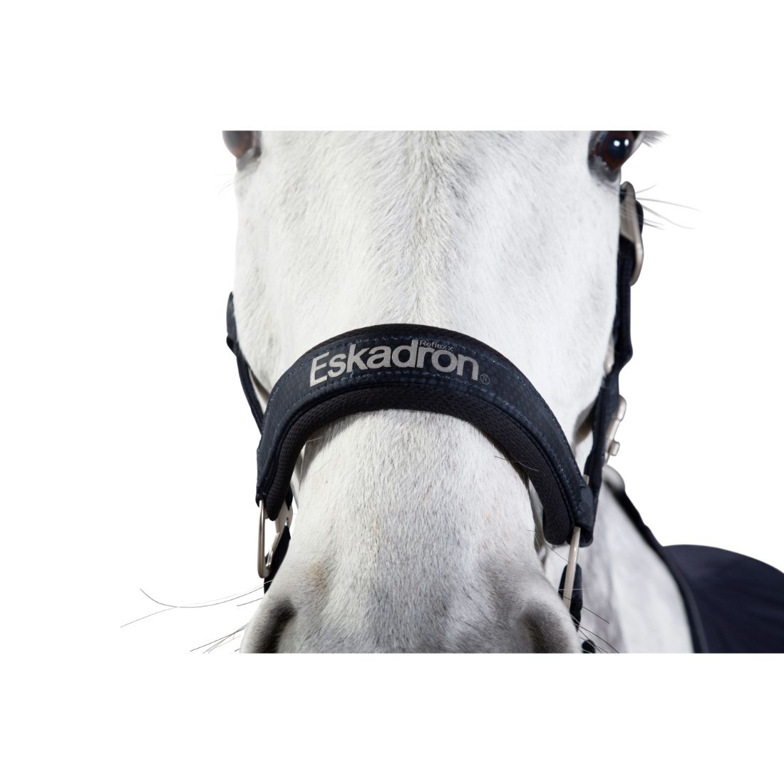 Eskadron Reflex Glossy Buckle Headcollar