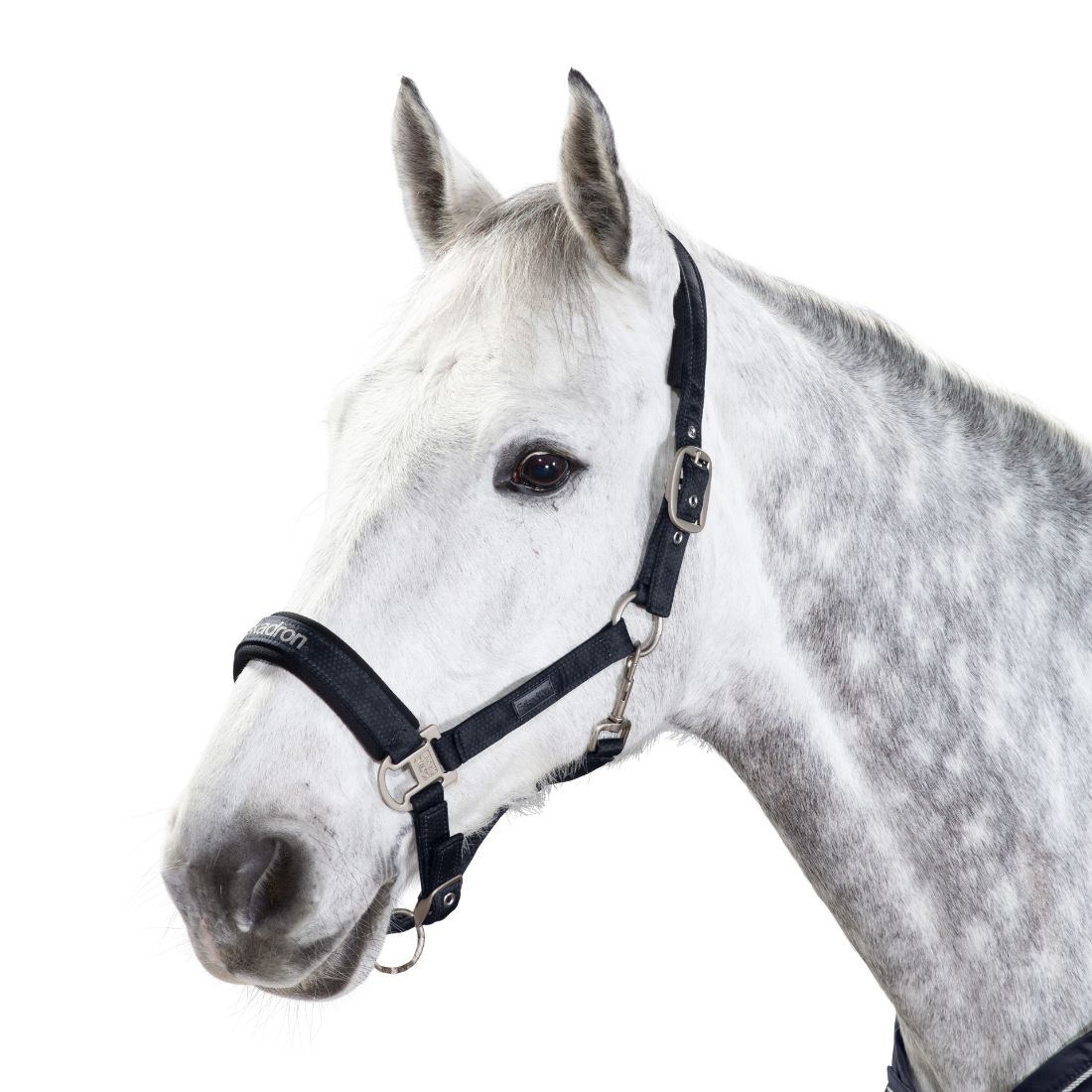 Eskadron Reflex Glossy Buckle Headcollar