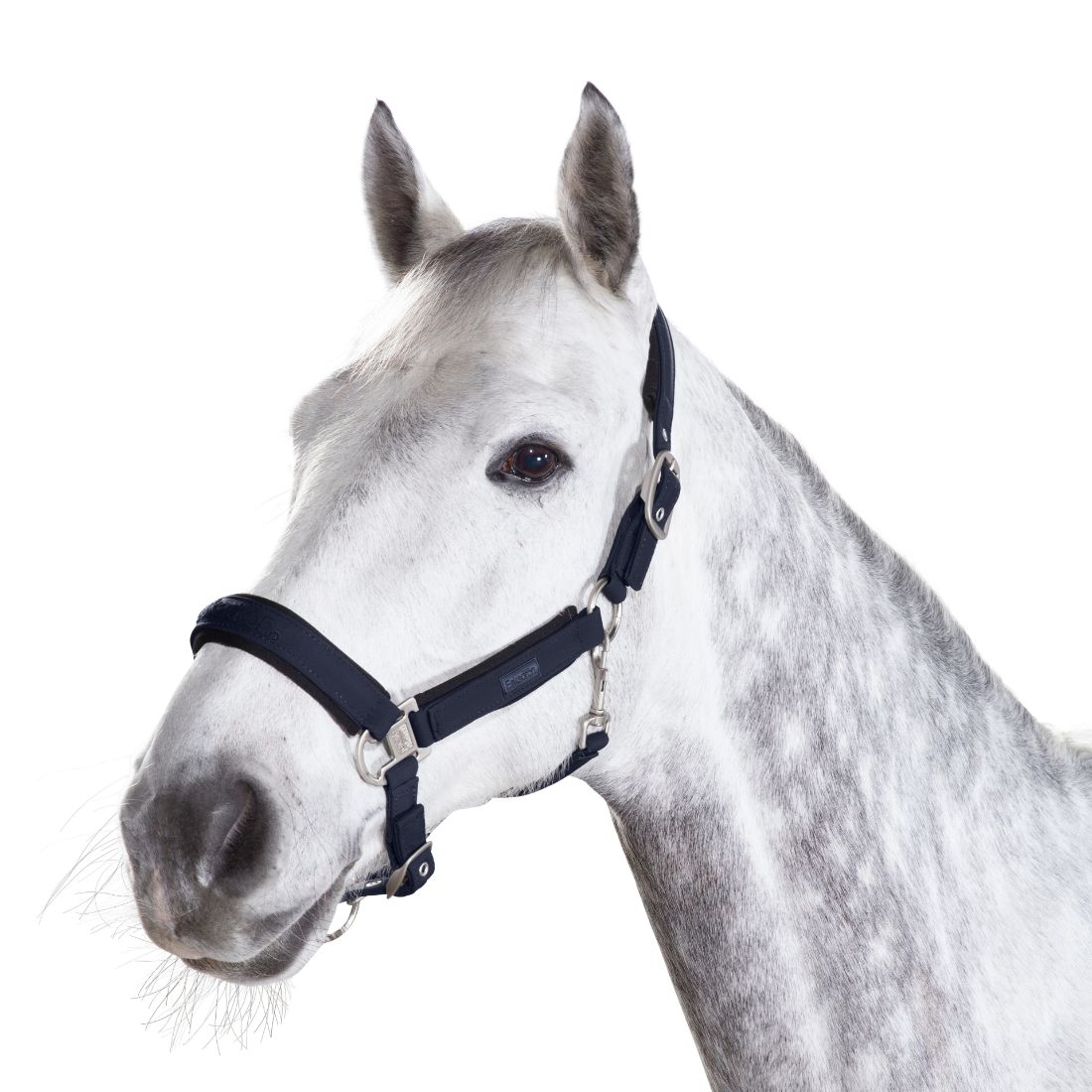 Eskadron Reflex Softshell Headcollar