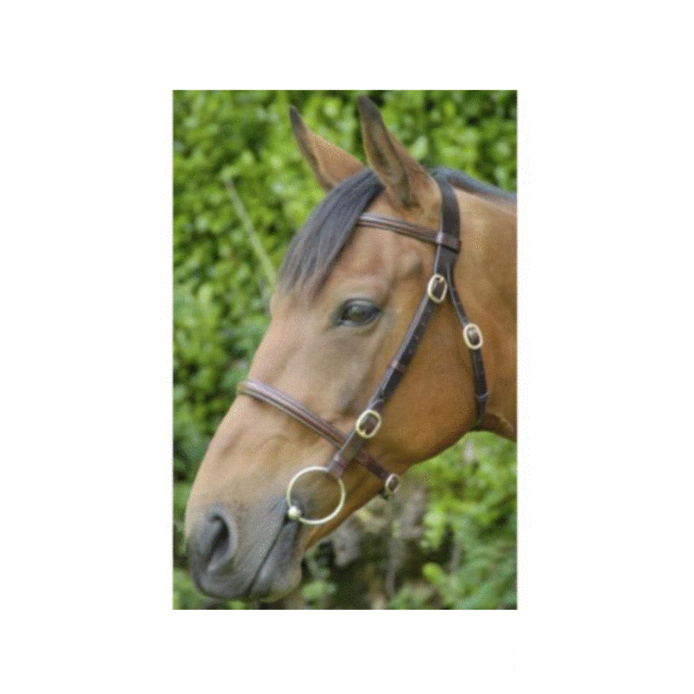 Celtic In Hand Bridle -Plain - Connemara Horse & Country