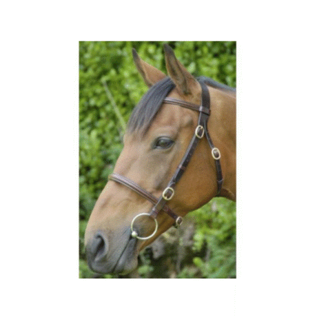 Celtic In Hand Bridle -Plain - Connemara Horse & Country
