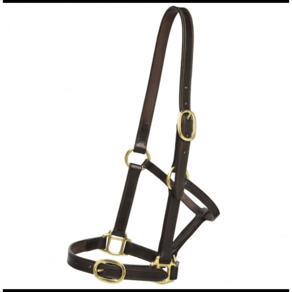 Mackey Leather Headcollar