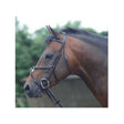 Cottage Craft Westminister Bridle - Connemara Horse & Country