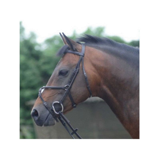 Cottage Craft Westminister Bridle - Connemara Horse & Country